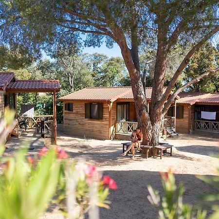 Feriendorf La Mora Calvi  Bagian luar foto