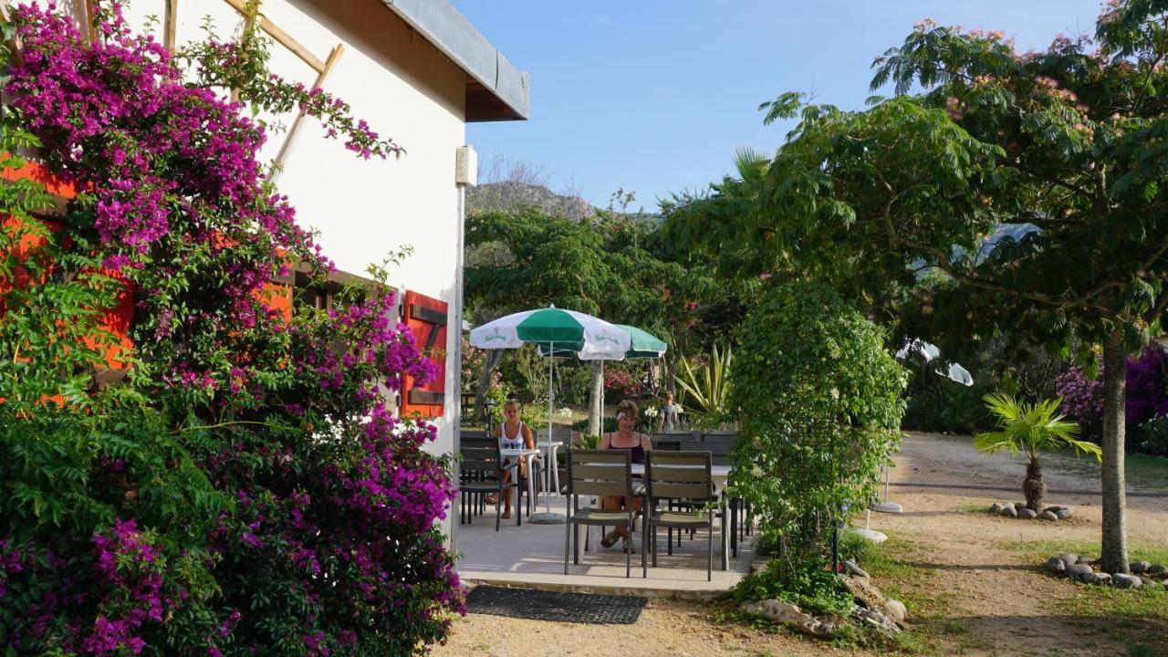 Feriendorf La Mora Calvi  Bagian luar foto
