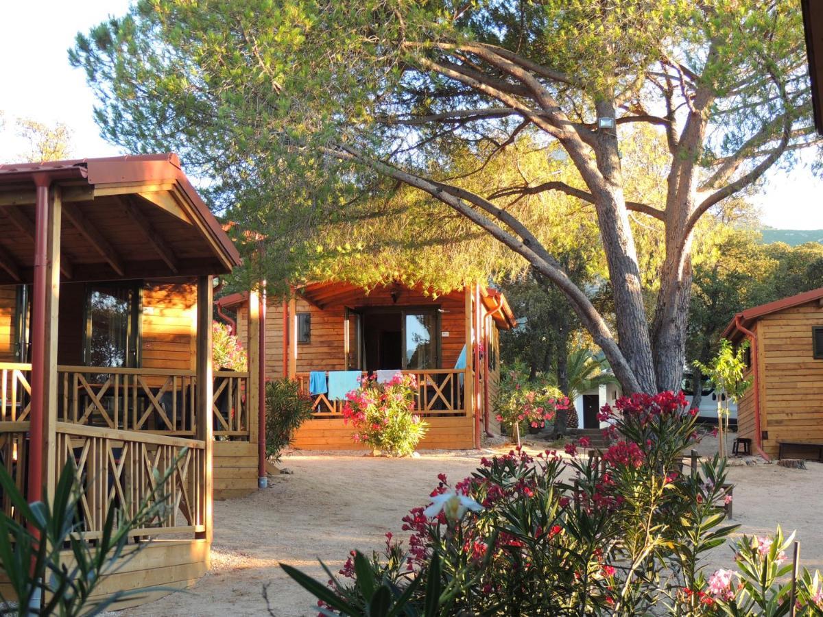 Feriendorf La Mora Calvi  Bagian luar foto